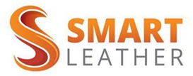 smart logo
